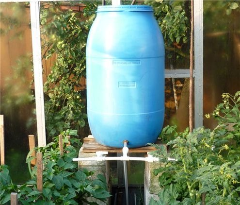 Капельный полив и системы орошения своими руками Капельный полив и системы орошения своими руками