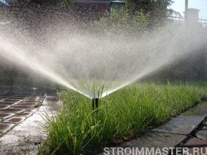 Полив участка сегодня: основные системы Полив участка сегодня: основные системы