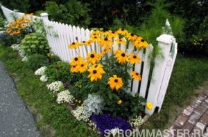 Правила создания сбалансированного ландшафтного дизайна Правила создания сбалансированного ландшафтного дизайна