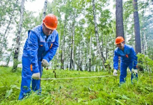 Буронабивной фундамент своими руками Буронабивной фундамент своими руками
