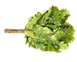 Как запарить веник для бани Как запарить веник для бани