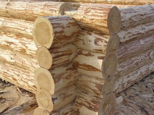 Дом с баней под одной крышей — проекты и строительство Дом с баней под одной крышей — проекты и строительство