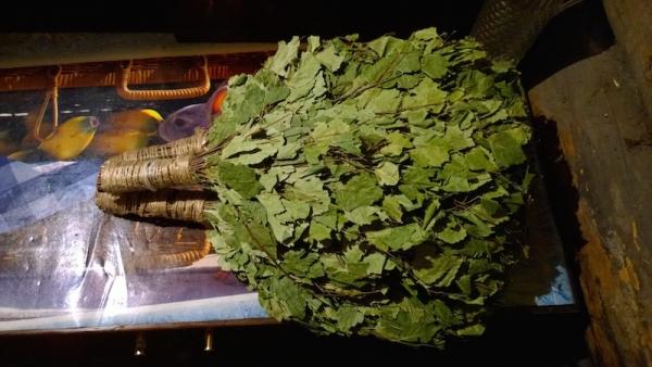 Заготовка березовых веников для бани Заготовка березовых веников для бани