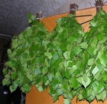 Как запарить веник для бани Как запарить веник для бани