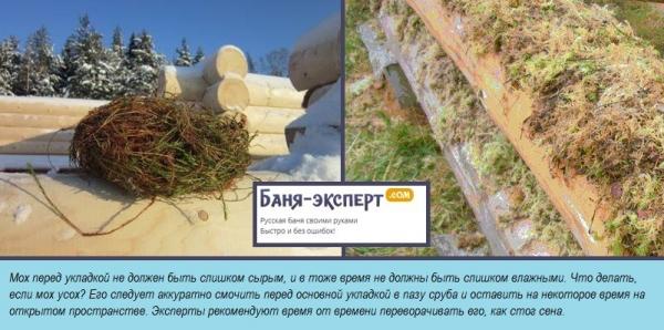 Как конопатить сруб Как конопатить сруб