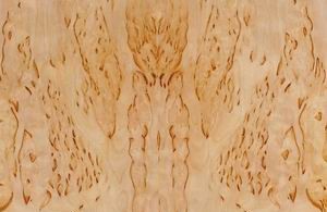 Баня по финской технологии