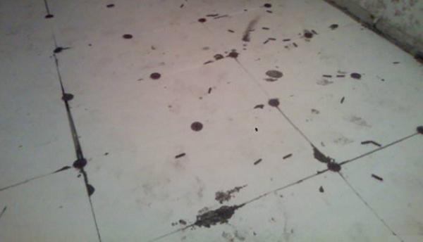 Как залить пол в бане с уклоном Как залить пол в бане с уклоном