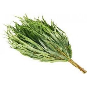 Как запарить веник для бани Как запарить веник для бани