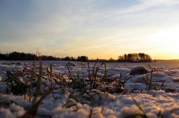 Глубина заложения фундамента Глубина заложения фундамента