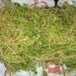 Как конопатить сруб Как конопатить сруб