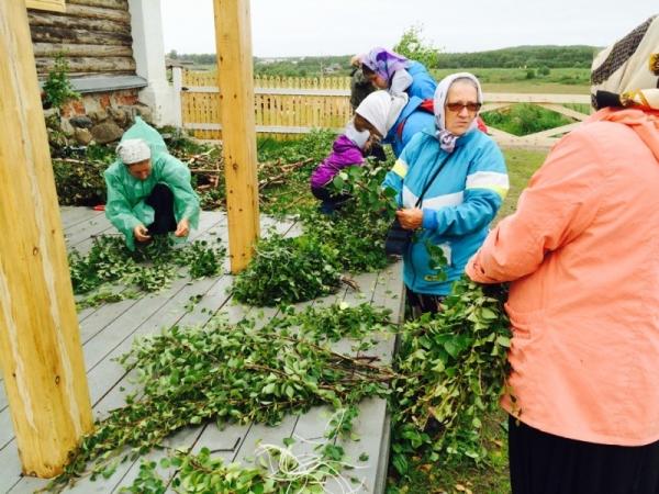 Заготовка березовых веников для бани Заготовка березовых веников для бани
