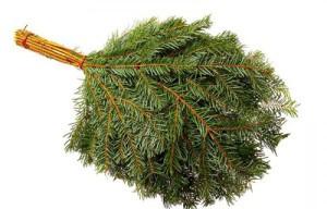 Как запарить веник для бани Как запарить веник для бани