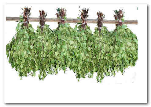 Банный веник душу тешит да тело нежит  Банный веник душу тешит да тело нежит