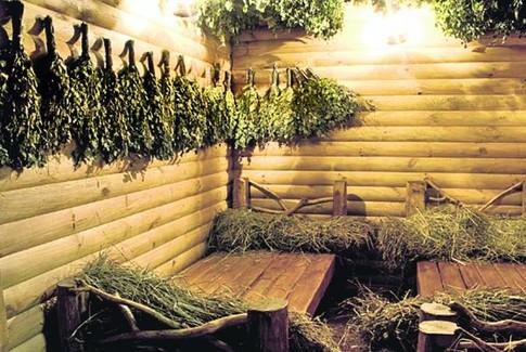 Заготовка березовых веников для бани Заготовка березовых веников для бани