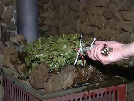 Заготовка березовых веников для бани Заготовка березовых веников для бани