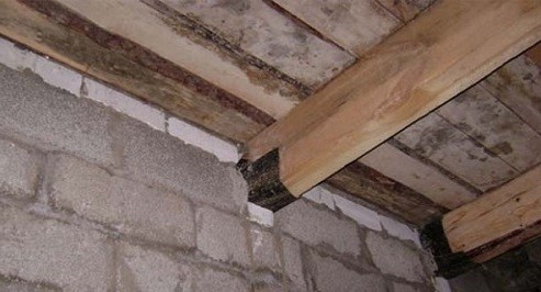 Баня из керамзитобетонных блоков Баня из керамзитобетонных блоков