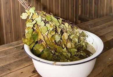 Заготовка березовых веников для бани Заготовка березовых веников для бани