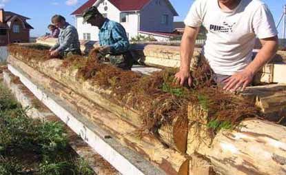 Как конопатить сруб Как конопатить сруб