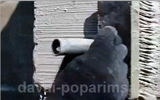 Гидроизоляция фундамента своими руками – виды и устройство  Гидроизоляция фундамента своими руками – виды и устройство