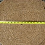 Баня из профилированного бруса 6х6 Баня из профилированного бруса 6х6