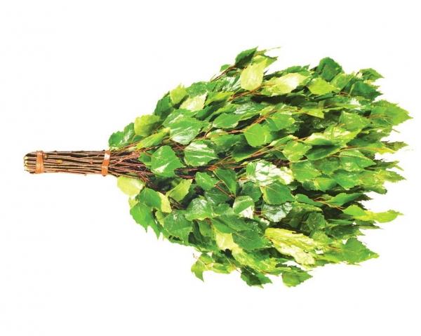 Заготовка березовых веников для бани Заготовка березовых веников для бани