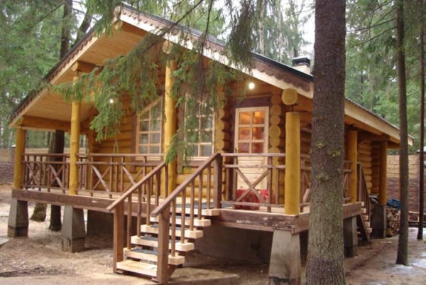 Баня из осины плюсы и минусы Баня из осины плюсы и минусы