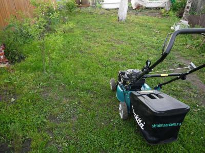 Устройство газона  
Устройство газона