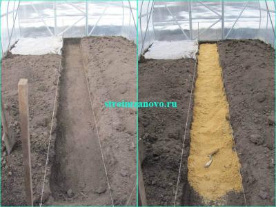 Садовая дорожка из спилов дерева своими руками  
Садовая дорожка из спилов дерева своими руками