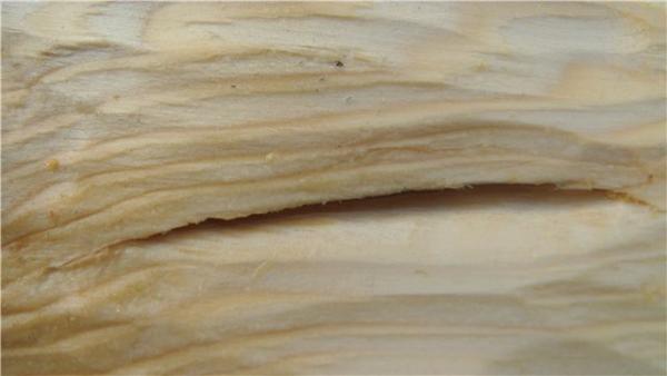 Отделка парилки в бане Отделка парилки в бане