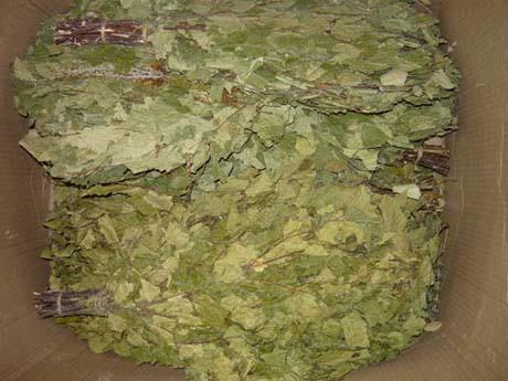 Как правильно сушить веники для бани Как правильно сушить веники для бани