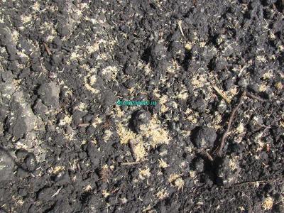 Газон своими руками  
Газон своими руками