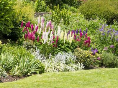 Сад в природном стиле  
Сад в природном стиле