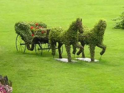 Топиари – искусство фигурной стрижки растений  
Топиари – искусство фигурной стрижки растений