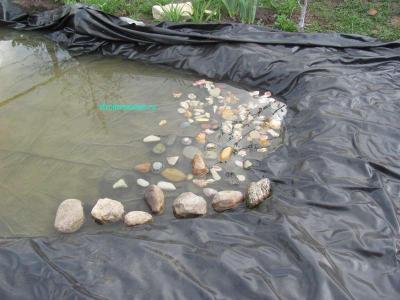 Пруд своими руками  
Пруд своими руками