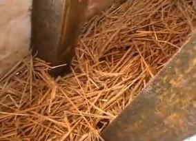 Как утеплить пол в бане Как утеплить пол в бане