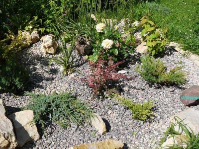 Ландшафтный дизайн участка  
Ландшафтный дизайн участка