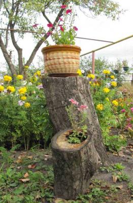 Рутарий своими руками
Рутарий своими руками