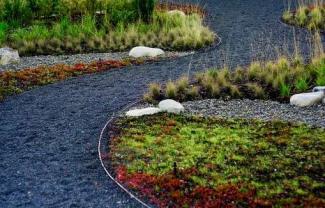 Дорожки на даче  
Дорожки на даче