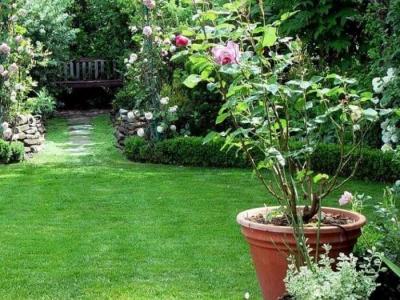 Дизайн садового участка  
Дизайн садового участка