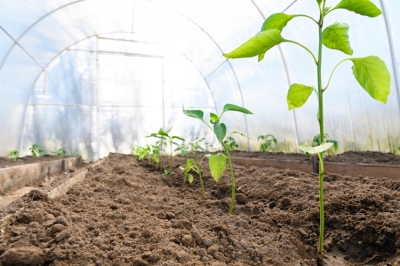 Укрывной материал для парников и теплиц Укрывной материал для парников и теплиц