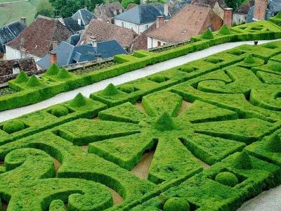 Топиари – искусство фигурной стрижки растений  
Топиари – искусство фигурной стрижки растений