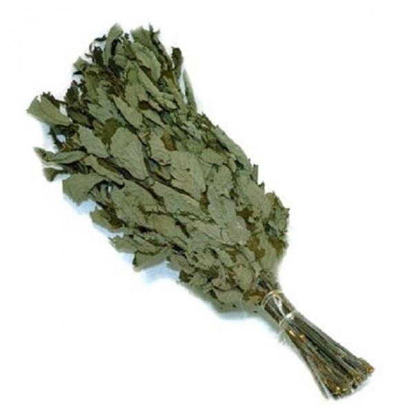 Какие бывают веники для бани Какие бывают веники для бани