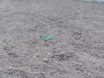 Газон своими руками  
Газон своими руками