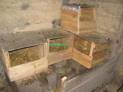 Гнёзда для кур своими руками  
Гнёзда для кур своими руками