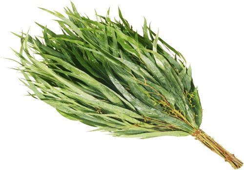 Как правильно сушить веники для бани Как правильно сушить веники для бани