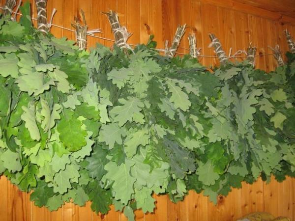 Как правильно сушить веники для бани Как правильно сушить веники для бани