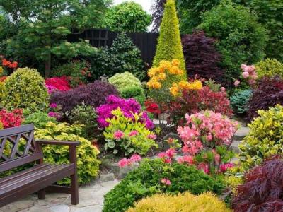 Дизайн садового участка  
Дизайн садового участка