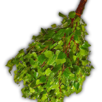 Как правильно сушить веники для бани Как правильно сушить веники для бани