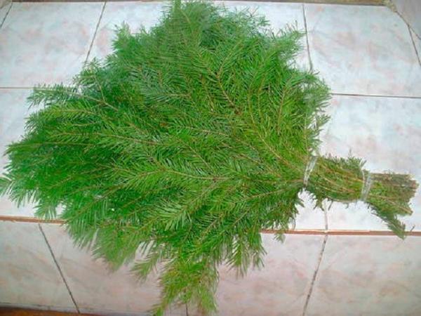 Какие бывают веники для бани Какие бывают веники для бани