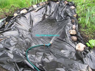 Как сделать пруд на даче  
Как сделать пруд на даче